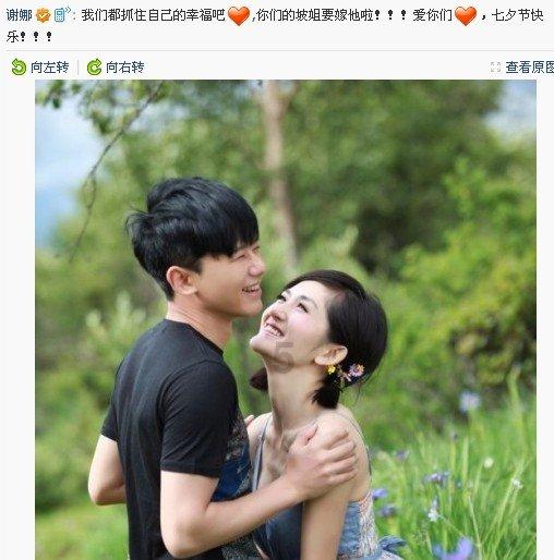 救援受困的老虎